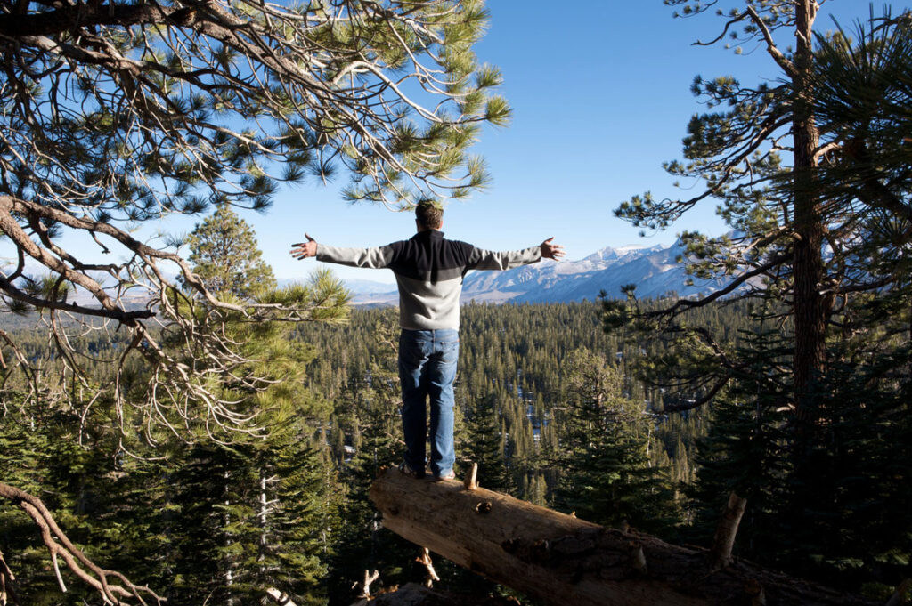 Family Forest Owners