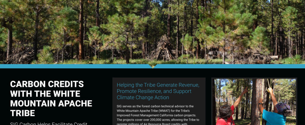 Forest Carbon Offsets Project - White Mountain Apache Tribe