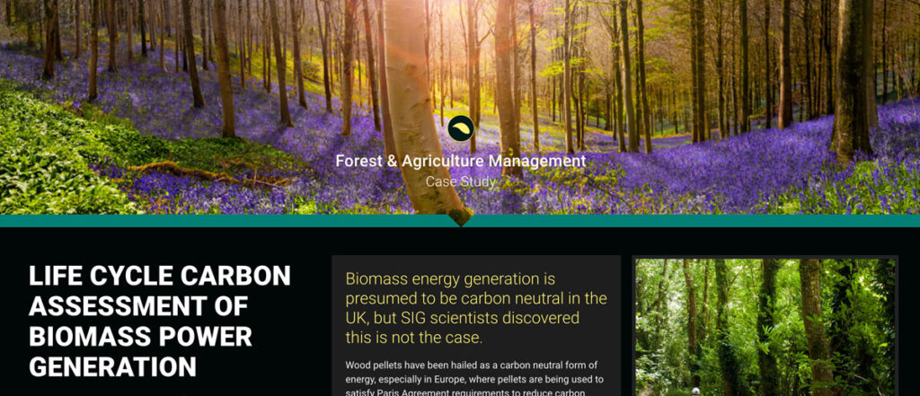 Life Cycle Carbon Assessment