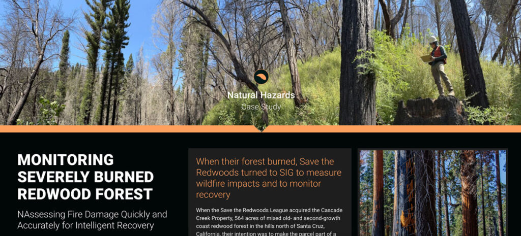 Monitoring Severely Burned Redwood Forest