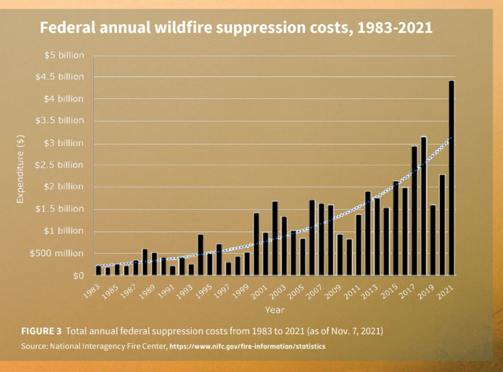 Wildfire Costs