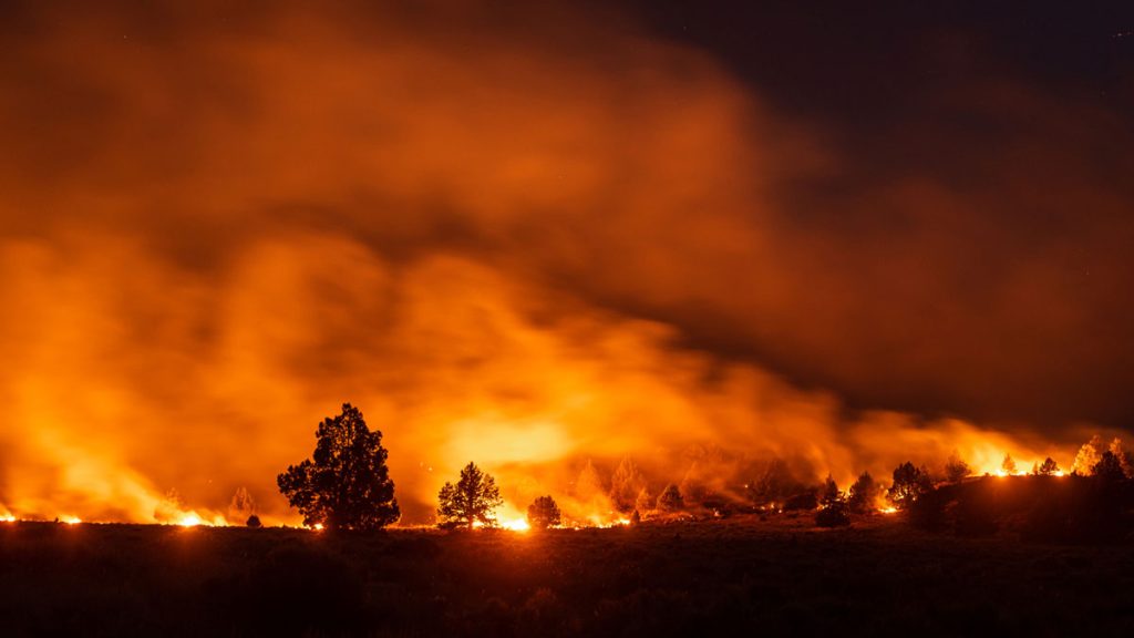 California’s Catastrophic Wildfires