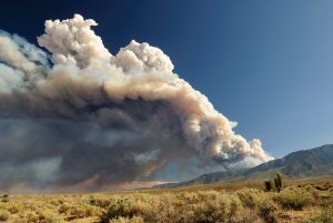 Forecasting Tool For Tracking Active Fire Spread