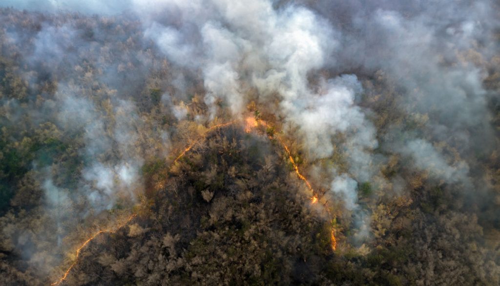 Wildfire Most Important Factor In Carbon