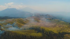 Indonesia’s Wildfires