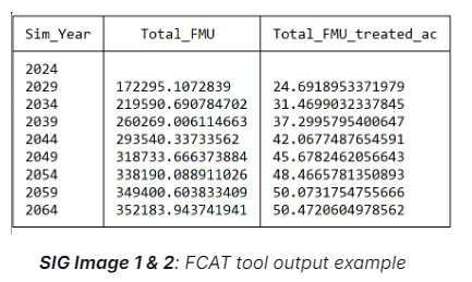 Forest Carbon Analysis Tool