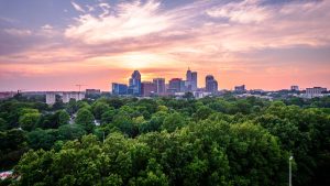 Urban Green Space